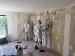 Woodland Park, CO Mold Removal Services Company